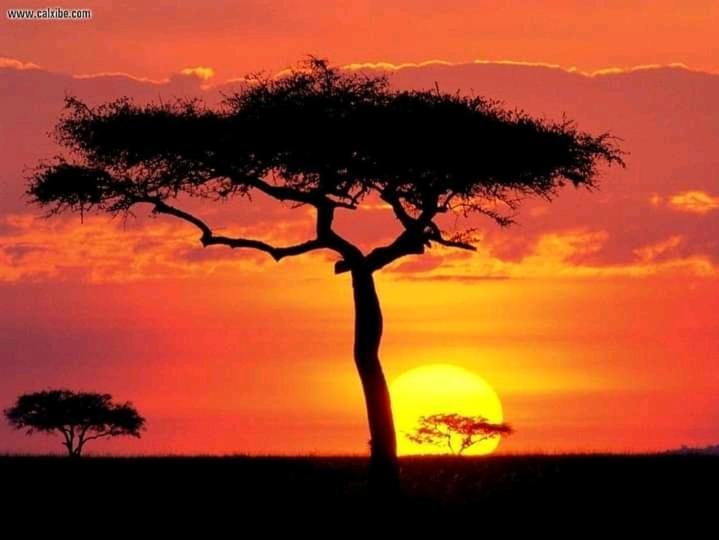 Ilkerin Camp Maasai Mara Panzió Sekenani Kültér fotó